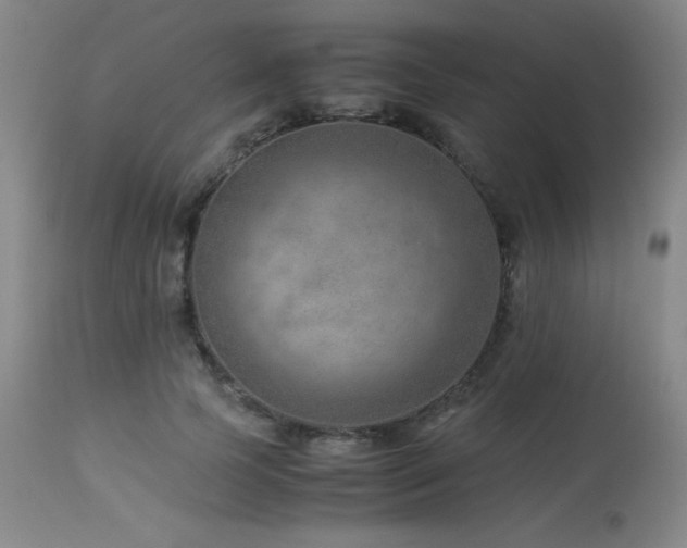 X0000114010745200910021342