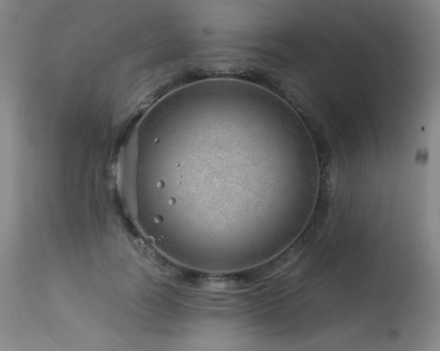 X0000114010746200910021342