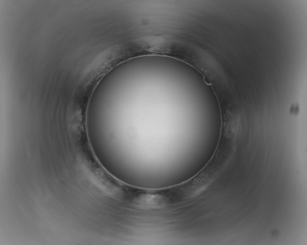 X0000114010748200910021342