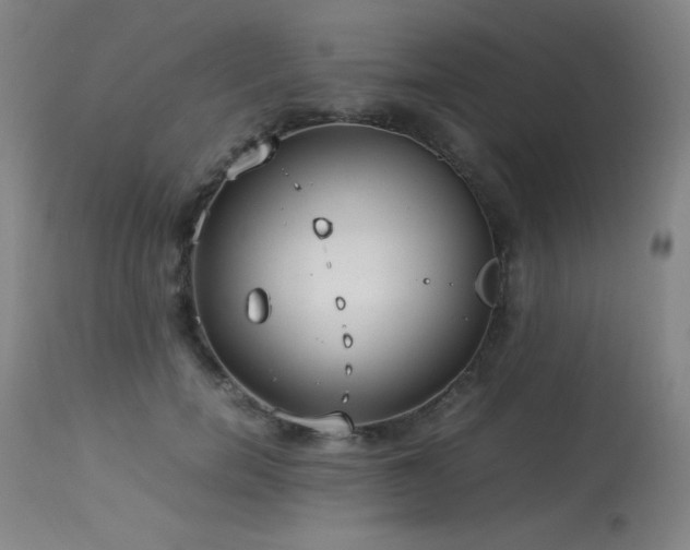 X0000114010750200910021342