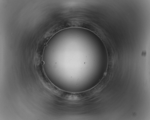 X0000114010751200910021342