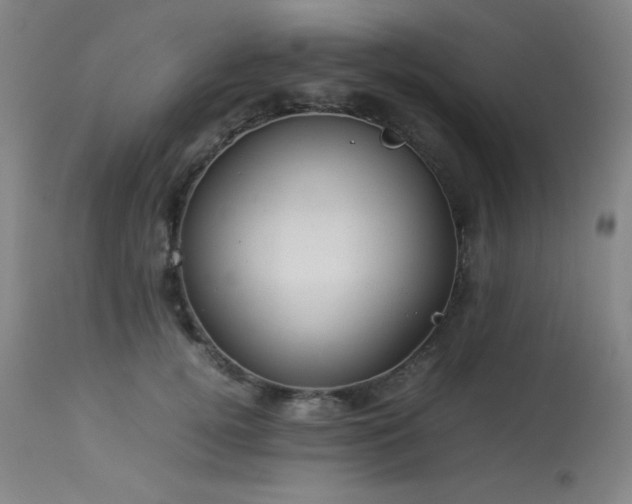 X0000114010752200910021342