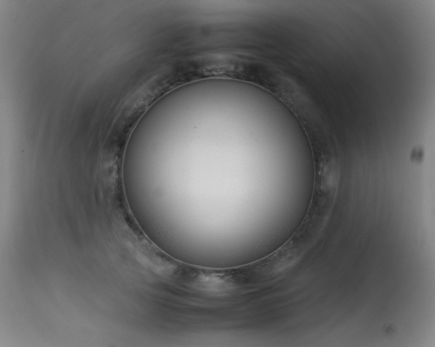 X0000114010753200910021342