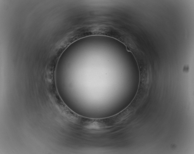 X0000114010755200910021342