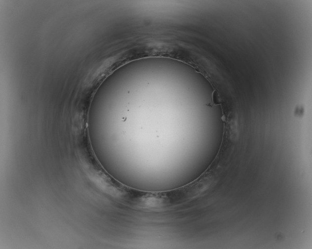 X0000114010756200910021342
