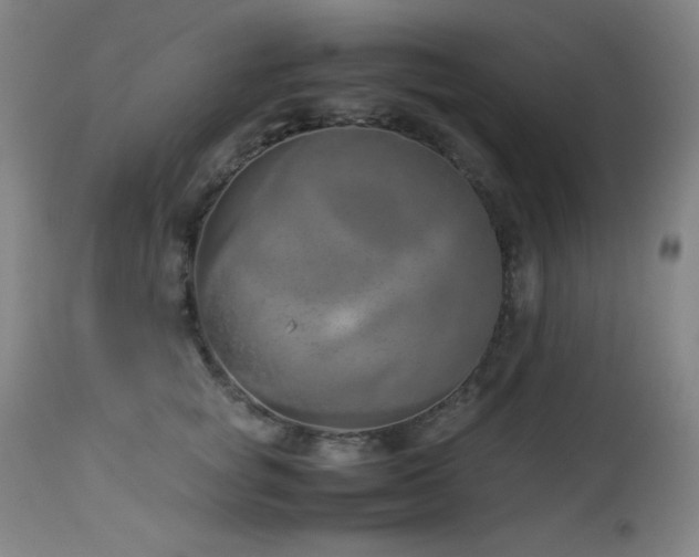 X0000114010757200910021342