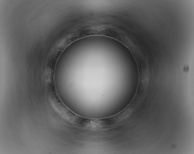 X0000114010758200910021342