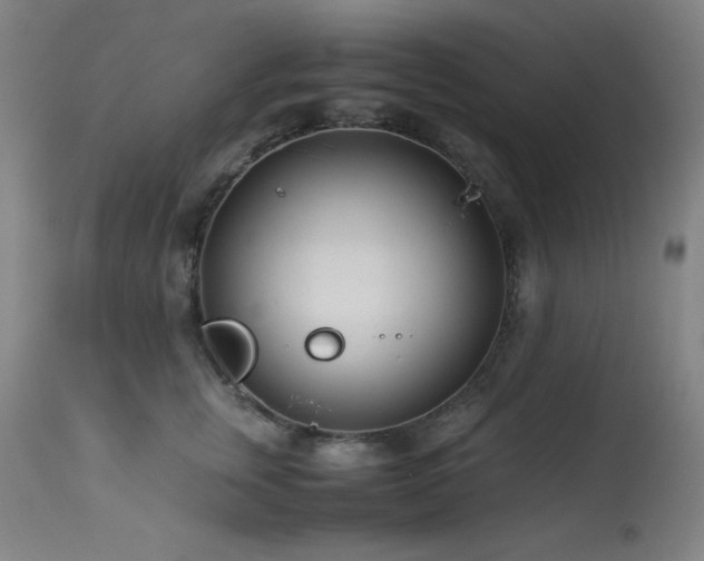 X0000114010759200910021342