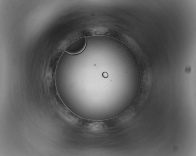 X0000114010761200910021342