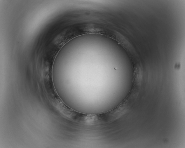 X0000114010762200910021342
