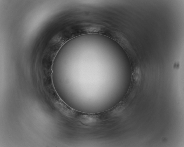 X0000114010763200910021342