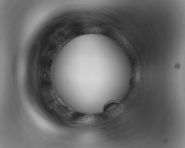 X0000114010764200910021342