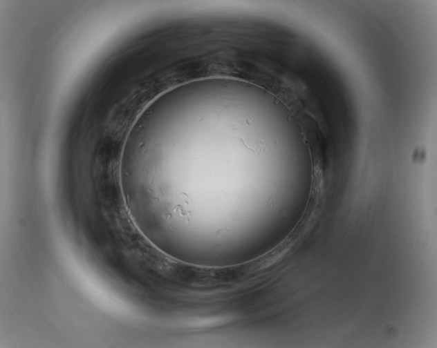 X0000114010765200910021342