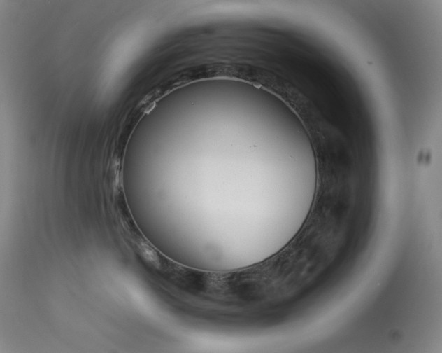 X0000114010766200910021342