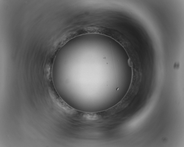 X0000114010767200910021342