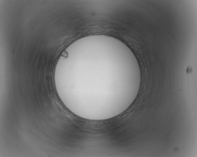 X0000114010768200910021342