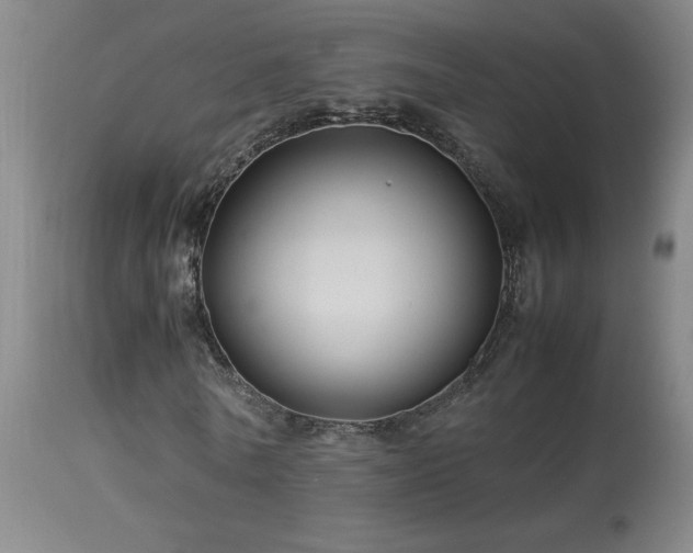 X0000114010770200910021341