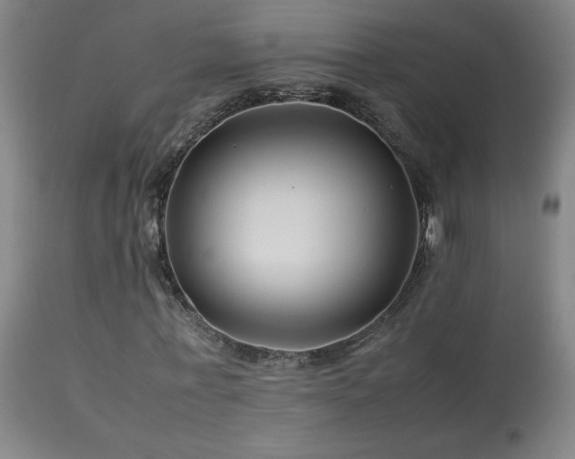X0000114010771200910021341