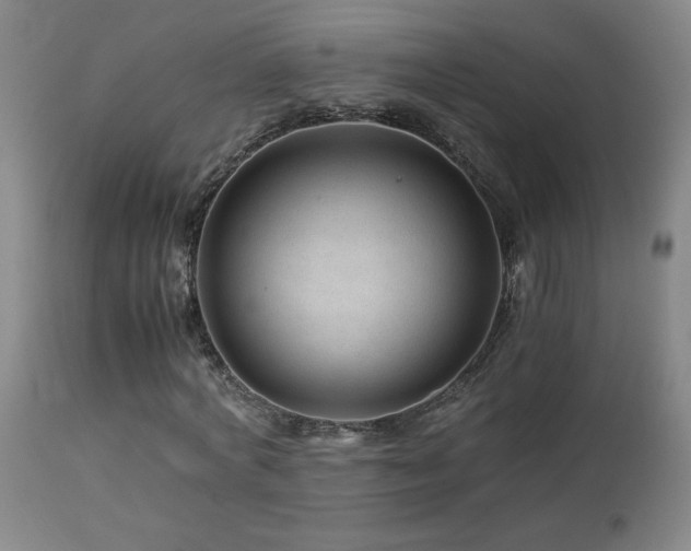 X0000114010772200910021341