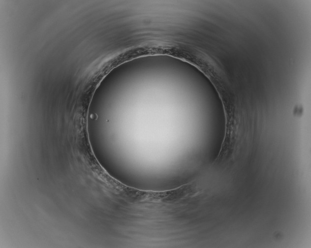 X0000114010773200910021341