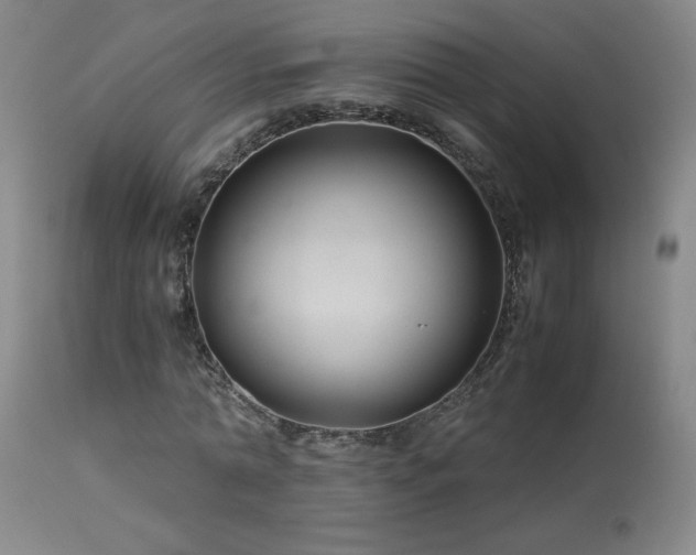 X0000114010774200910021341