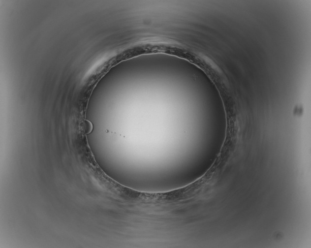 X0000114010775200910021341