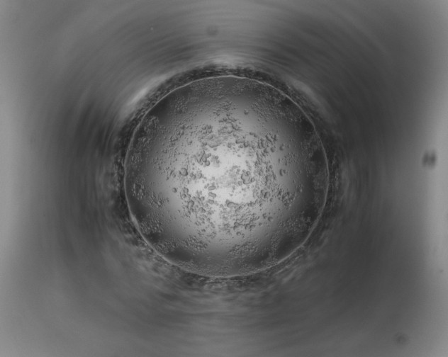X0000114010776200910021341