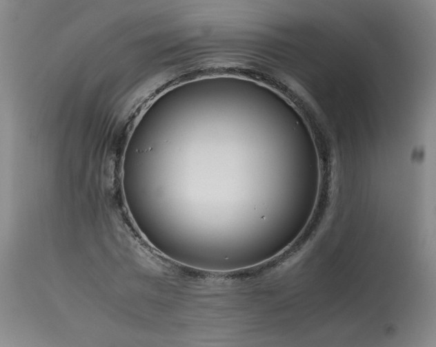X0000114010777200910021341