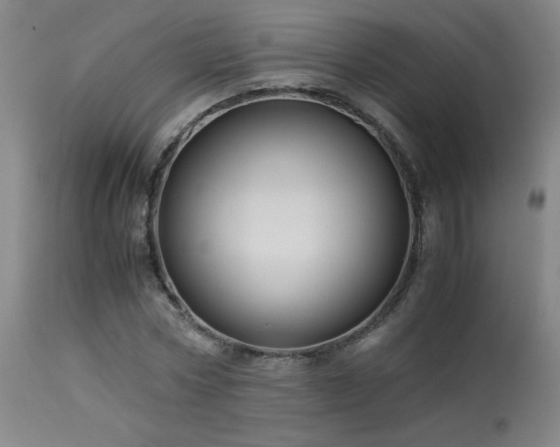 X0000114010778200910021341