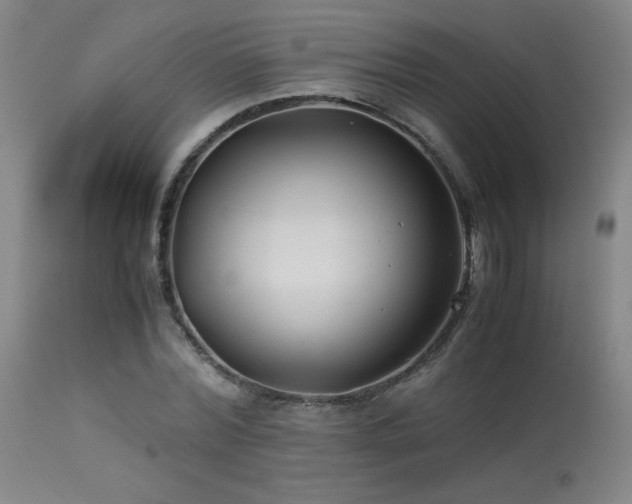 X0000114010780200910021341