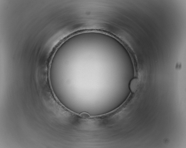 X0000114010781200910021341