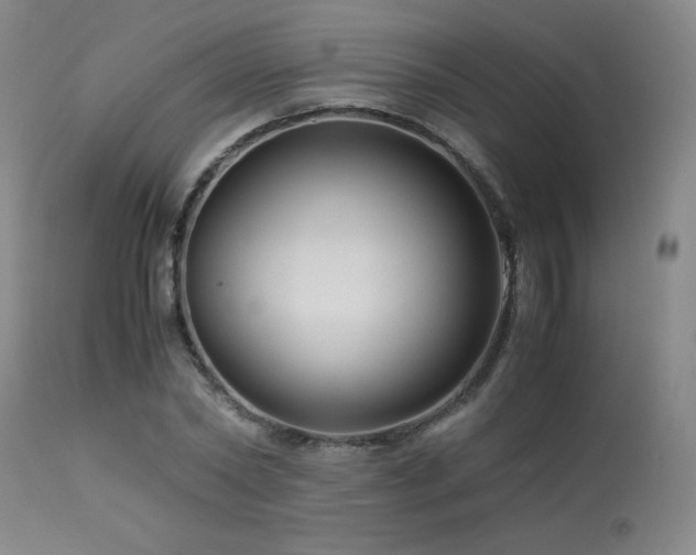 X0000114010782200910021341