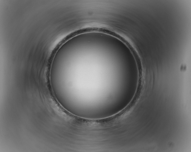 X0000114010783200910021341