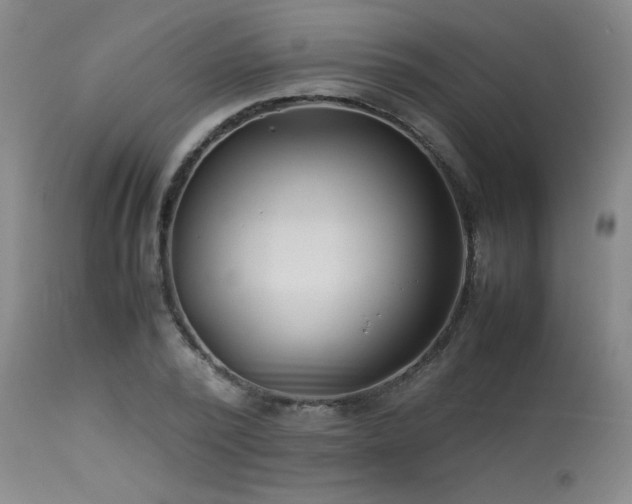 X0000114010784200910021341