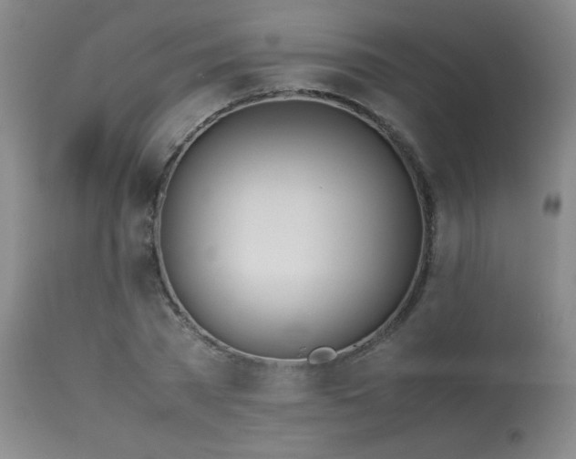 X0000114010785200910021341