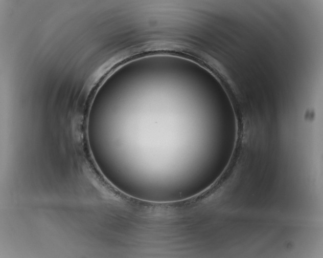 X0000114010786200910021341