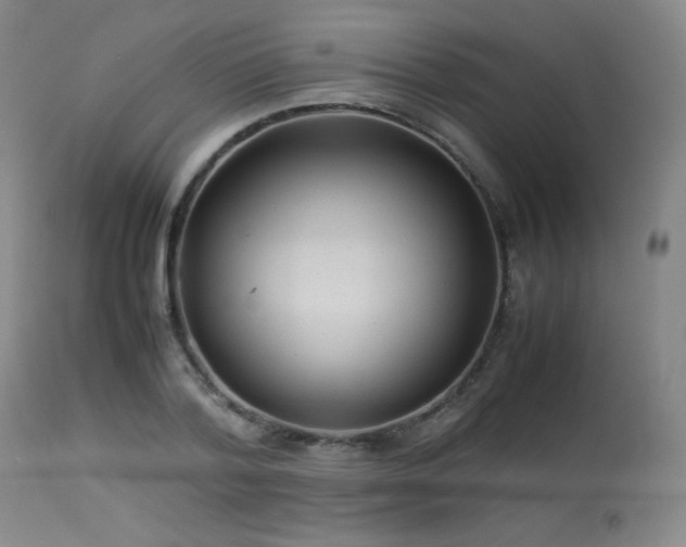 X0000114010788200910021341