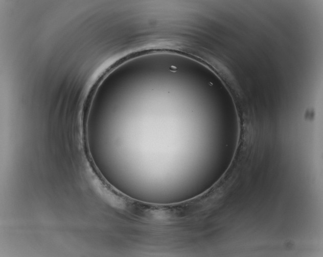 X0000114010792200910021341