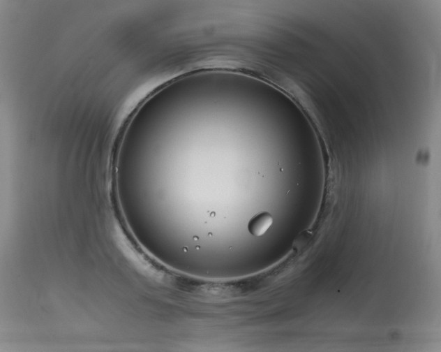 X0000114010795200910021341