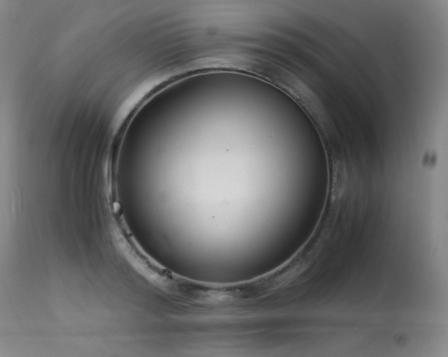 X0000114010796200910021341