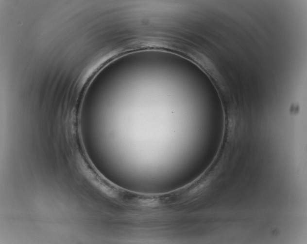 X0000114010798200910021341