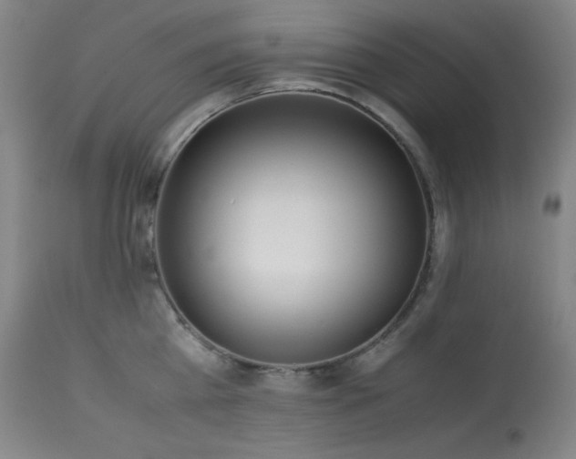 X0000114010809200910021340