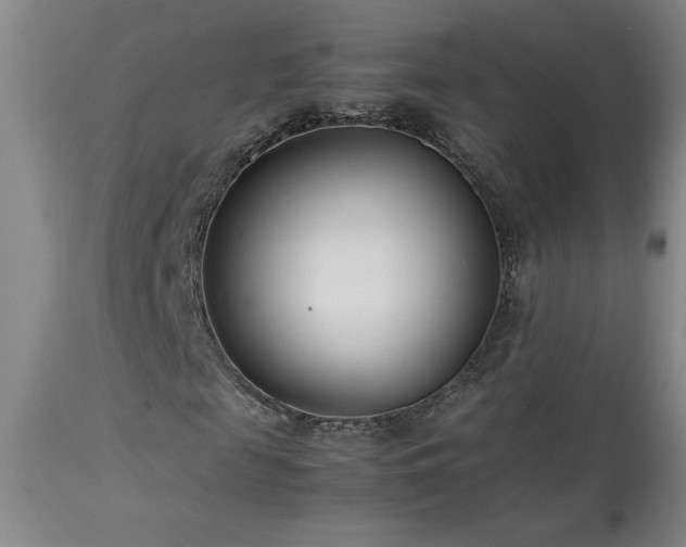X0000114010817200910021339