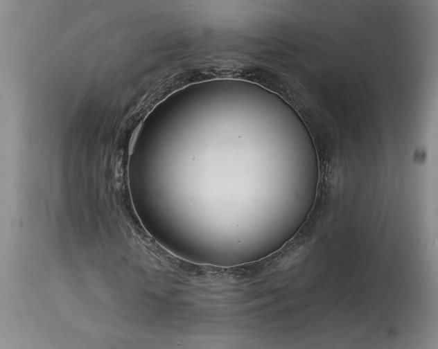 X0000114010818200910021339