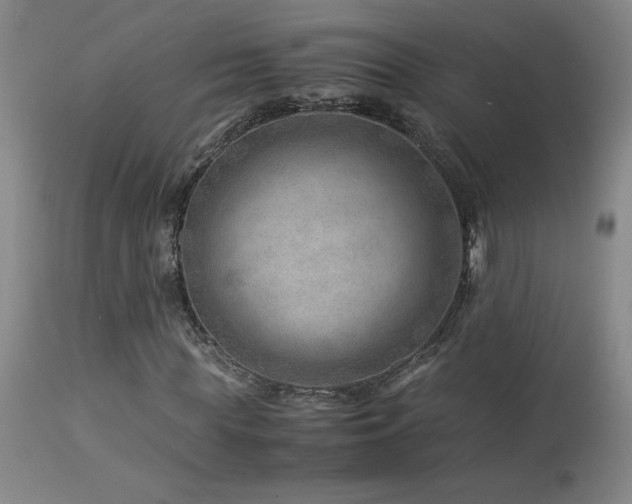 X0000114010819200910021339