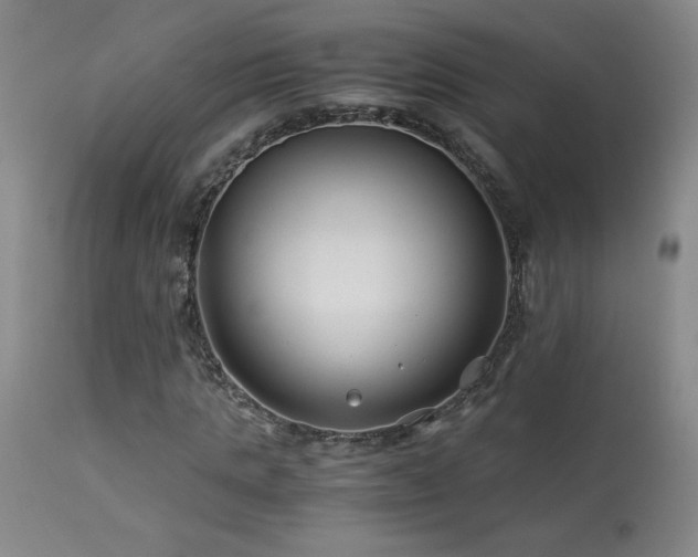 X0000114010821200910021339