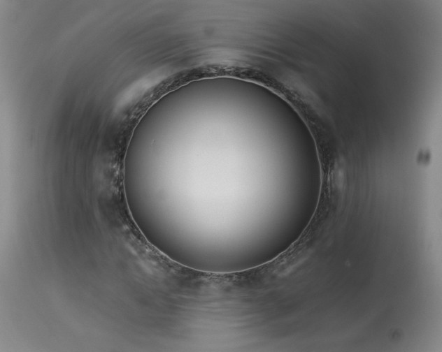 X0000114010822200910021339