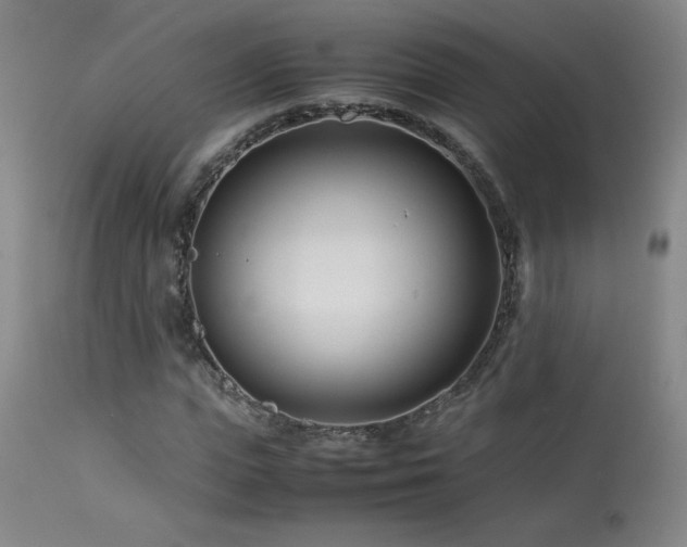 X0000114010823200910021340