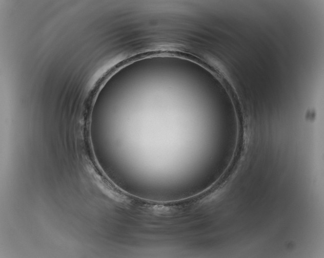 X0000114010827200910021340