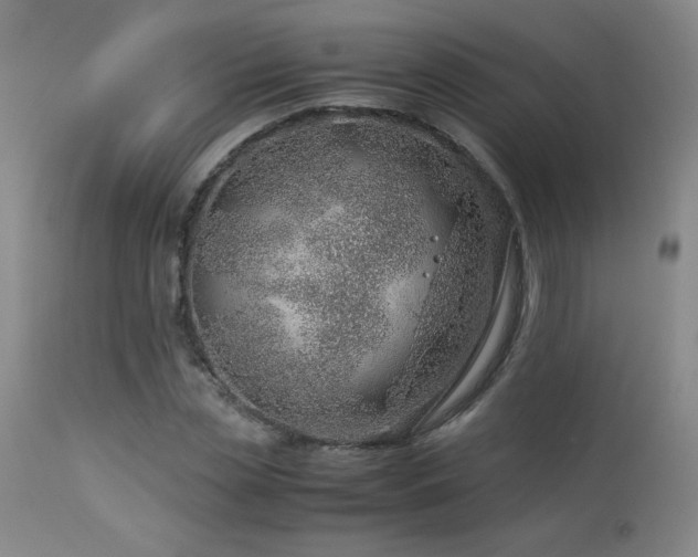 X0000114010829200910021340